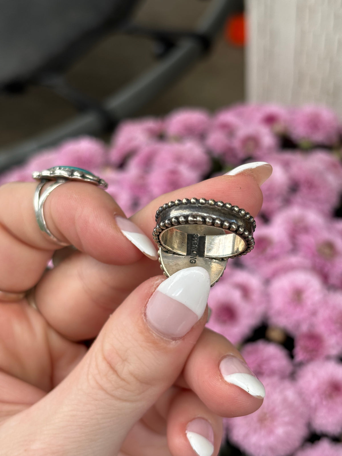 Pink Conch- 6.5