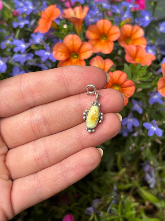 Palomino Charm-1