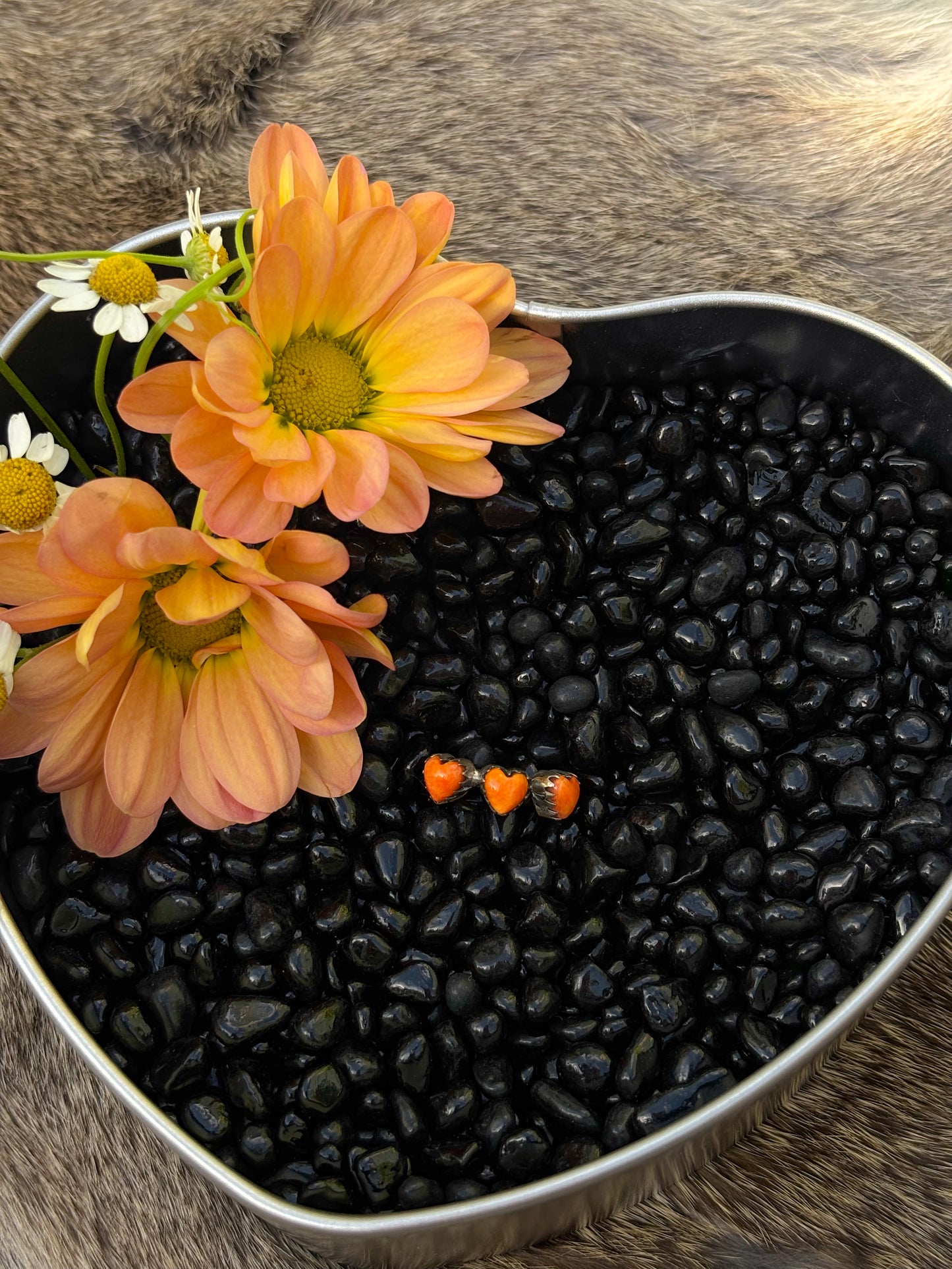 3 Orange Hearts- 5.5