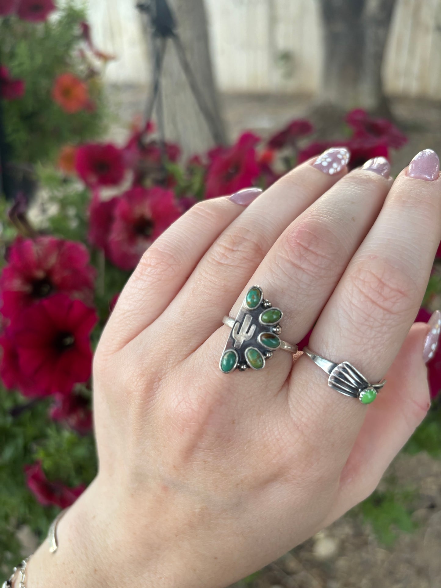 Cactus Cluster Ring-Adj