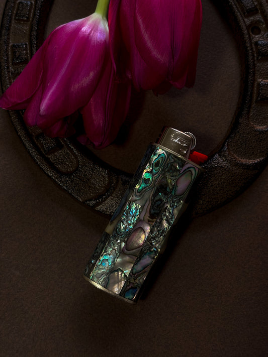 Shell Lighter Case