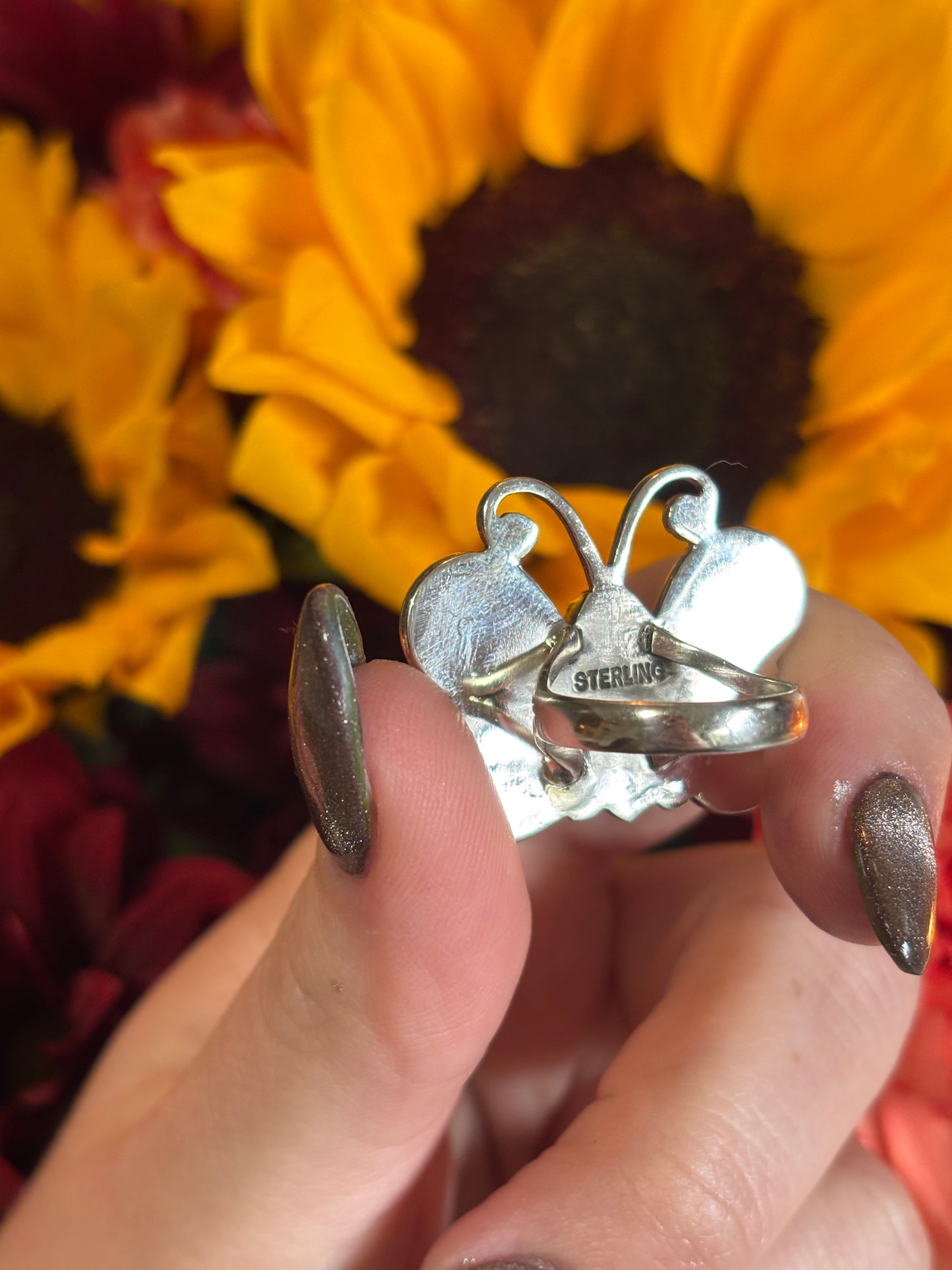 Pink Conch Butterfly- 6