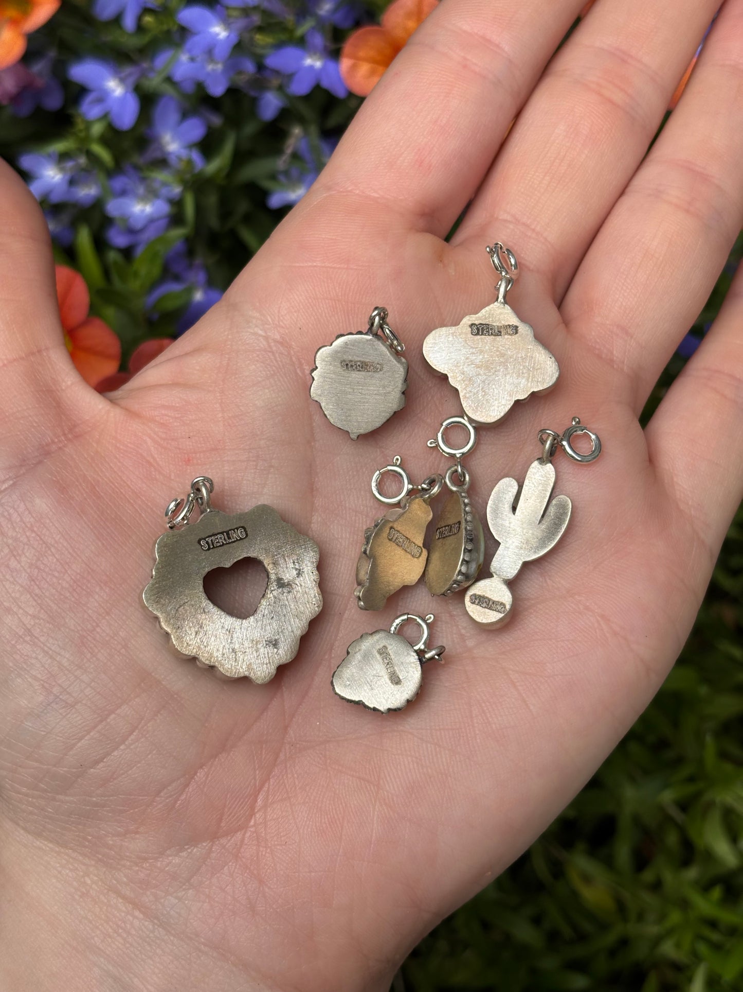 Palomino Charm-1