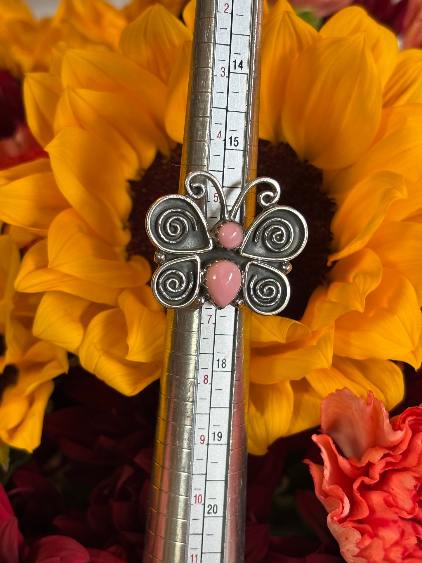 Pink Conch Butterfly- 6